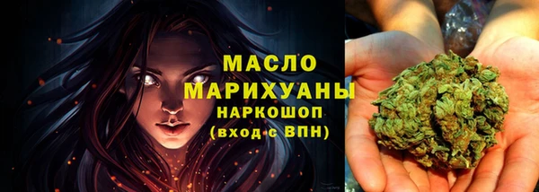 индика Вязьма