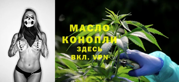 индика Вязьма