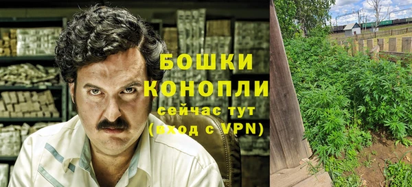 трава Вяземский