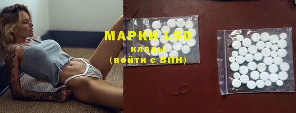 индика Вязьма