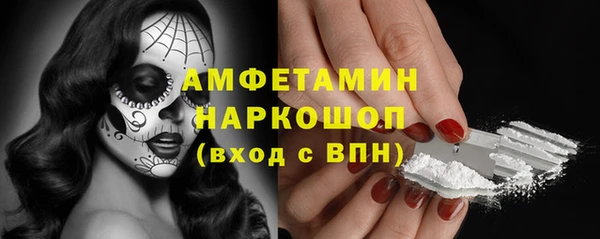 индика Вязьма