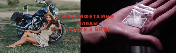 индика Вязьма