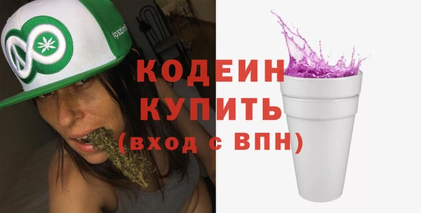индика Вязьма