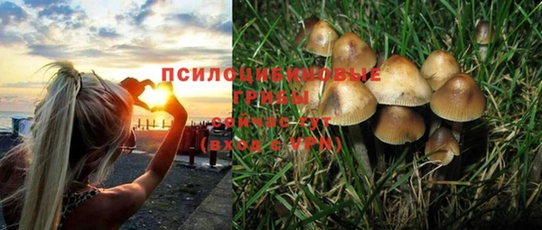 индика Вязьма