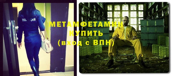 индика Вязьма