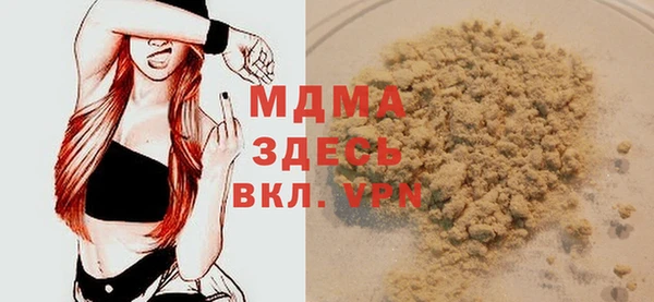 индика Вязьма