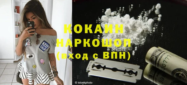 твердый Горняк