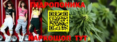 крисы Комсомольск-на-Амуре