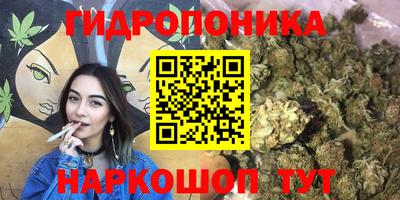 гашик Коммунар